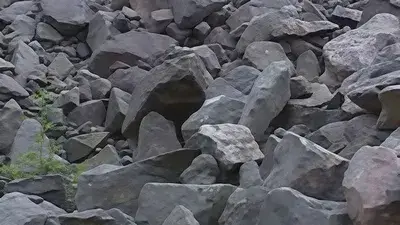 مخلفات الفحم